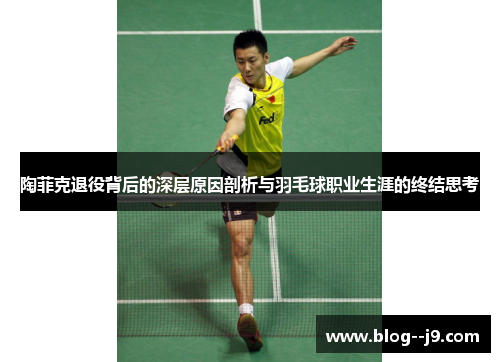 陶菲克退役背后的深层原因剖析与羽毛球职业生涯的终结思考