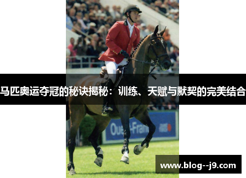 马匹奥运夺冠的秘诀揭秘：训练、天赋与默契的完美结合
