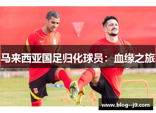 马来西亚国足归化球员：血缘之旅