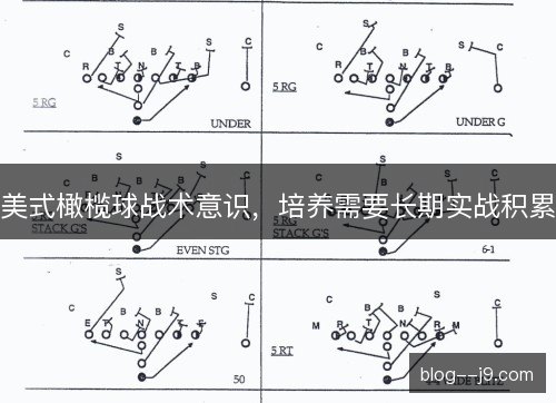 美式橄榄球战术意识,培养需要长期实战积累 美式橄榄球战术意识,培养需要长期实战积累